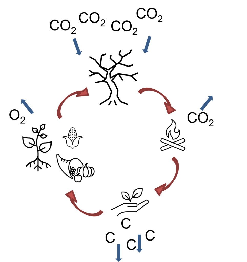 Grafik Pyrolysekreislauf