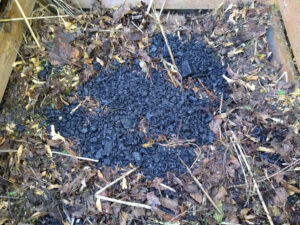 Kohle in den Kompost mischen